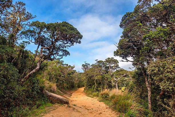 Horton Plains National Park